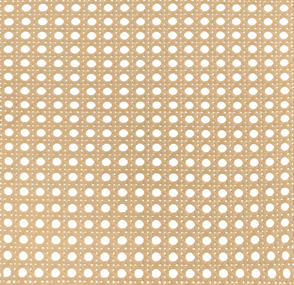 Lanewood Eastern King & Queen Bed Black & White