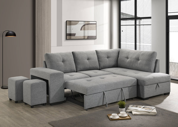 Roanne Pull-Out Sleeper Sectional Sofa