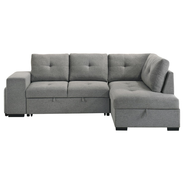Roanne Pull-Out Sleeper Sectional Sofa