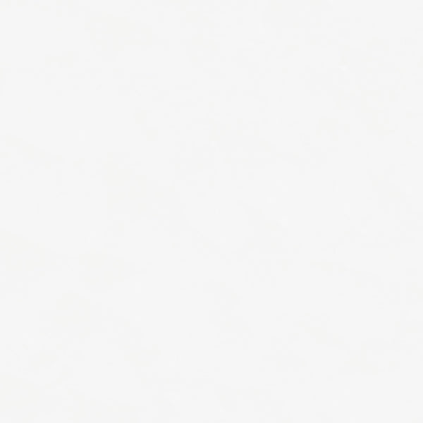 Bellatrix Curio Cabinet