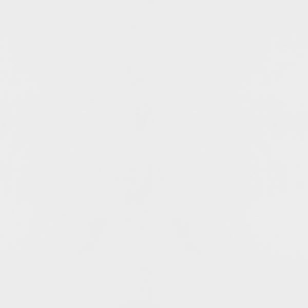 Elsa 2-door Accent Cabinet with Adjustable Shelves White and Gold