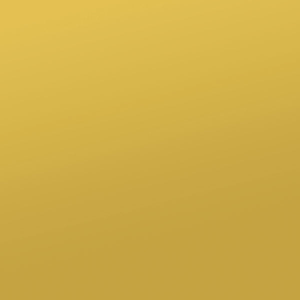 Elsa 2-door Accent Cabinet with Adjustable Shelves White and Gold