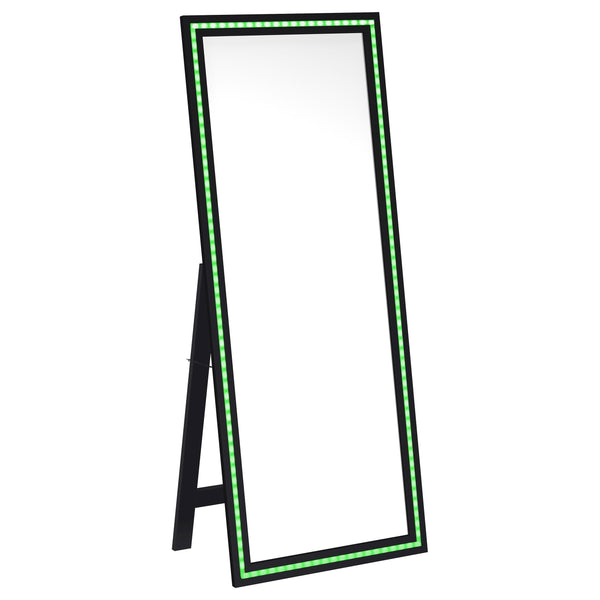 Windrose Standing Mirror with LED Lighting