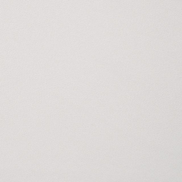 ALISHA Side Chair (2/CTN)