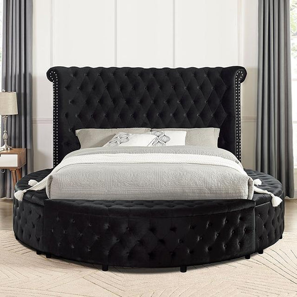 SANSOM E.King & Queen Bed, Black, Blue, & Grey