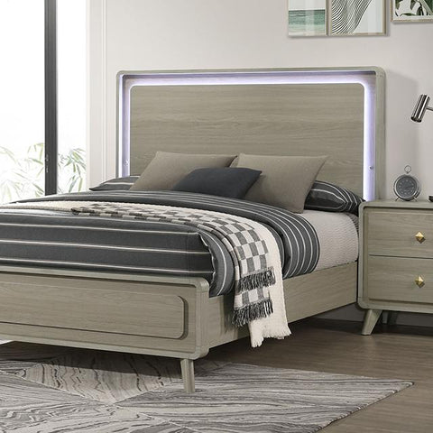 Rainier Bed Gray